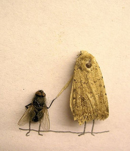 ambiguous_gender duo hand_holding real size_difference standing wings unknown_artist arthropod fly_(animal) housefly insect lepidopteran moth grandfathered_content graphite_(artwork) mixed_media photography_(artwork) traditional_media_(artwork)