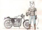 anthro female motorcycle solo vehicle n2o anastasia_(kalahari) arctic_fox canid canine fox mammal true_fox