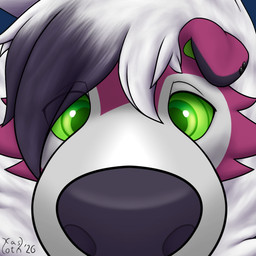 anthro ear_piercing floppy_ears fur green_eyes hair looking_at_viewer male multicolored_body piercing purple_body purple_fur snout snout_focus solo two_tone_body white_body white_fur kasloth nintendo pokemon canid canine generation_7_pokemon lycanroc mammal midnight_lycanroc pokemon_(species) 1:1 2026 digital_media_(artwork) shaded signature