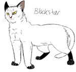 ambiguous_feral ambiguous_gender black_body black_fur feet feral frown fur markings multicolored_body multicolored_fur paws quadruped simple_background solo standing tail text two_tone_body two_tone_fur whiskers white_background white_body white_fur yellow_eyes graystripe64 warriors_(book_series) blackstar_(warriors) domestic_cat felid feline felis mammal 2010 character_name digital_drawing_(artwork) digital_media_(artwork) english_text flat_colors hi_res spot_color male_(lore)