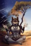 abs anthro blue_eyes crosslegged_pose desert male meditation muscular muscular_anthro muscular_male native outback plant scar star tree snow-body mythology rakan canid canine canis mammal mythological_canine mythological_creature werecanid werecanine werecreature werewolf wolf 2019 digital_media_(artwork) hi_res