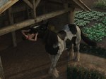 bodily_fluids breasts brown_hair clothed clothing female female_prey feral feral_pred hair human_prey nipples oral_vore saliva topless vore werewolfcz equid equine horse human mammal 3d_(artwork) 4:3 digital_media_(artwork) hi_res