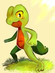 ambiguous_gender anterior_nasal_aperture anthro biped day grass green_body green_tail mouth_closed outside plant solo standing tail yellow_sclera flavia-elric nintendo pokemon generation_3_pokemon pokemon_(species) treecko 2017 digital_media_(artwork) hi_res