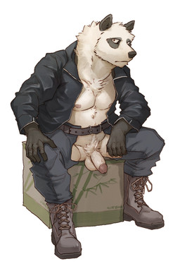 anthro balls bare_chest belt biped black_body black_fur black_nose boots bottomwear box brown_eyes chaps chest_tuft circumcised clothed clothing container crotch_tuft crotchless_clothing footwear fur genitals half-erect humanoid_genitalia humanoid_penis jacket looking_at_viewer male multicolored_body multicolored_fur nipples open_clothing open_jacket open_topwear pants partially_clothed pecs penis pubes shoes simple_background sitting solo spread_legs spreading topwear tuft two_tone_body two_tone_fur white_background white_body white_fur pngx bear giant_panda mammal 2:3 absurd_res hi_res