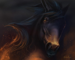 ambiguous_gender brown_eyes dark feral fur grey_body grey_fur hair long_hair looking_at_viewer solo mondeis equid equine horse mammal 5:4