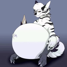 after_vore anthro anthro_pred anthro_prey belly belly_play big_belly black_claws black_stripes claws duo fur hugging_belly male male_pred stripes struggling struggling_prey vore white_arms white_body white_claws white_fur otherquail 1:1 animated no_sound short_playtime video