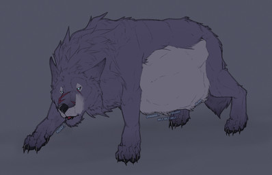 abdominal_bulge belly big_belly black_nose blue_eyes burping female feral feral_pred fur grey_body grey_fur rumbling_stomach same_size_vore scar vore souperstew canid canine canis mammal wolf hi_res