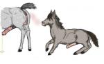 animal_genitalia donkey equine feral horse horsecock male mammal peeing penis urine
Rating: Explicit
Score: 0
User: Dynia
Date: December 06, 2013