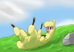 alpaca camelid chest_tuft cloven_hooves female feral fluffy grass_field hi_res hitsuji hooves looking_at_viewer mammal on_ground paprika_paca_(tfh) purple_eyes rock sky solo them's_fightin'_herds tuft