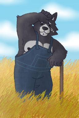 anthro black_body black_fur black_nose bodily_fluids clothing field fur male multicolored_body multicolored_fur nipples overalls solo sweat sweatdrop wheat_field kubberbubber adastra adastra_(series) echo_project amicus_(adastra) canid canine canis mammal wolf