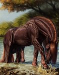 anatomically_correct_feral animal_genitalia animal_penis balls big_balls big_penis black_balls blue_eyes blurred_background brown_body brown_fur day detailed_background detailed_fur dripping equine_balls equine_genitalia equine_penis erection feral flared_penis fur genitals grass half-erect hooves looking_at_viewer male male_feral medial_ring mud outside partially_submerged penis plant quadruped realistic_feral sky solo splash tree urethra urethral_fossa vein veiny_muscles water wet wet_body wet_fur scarlanya tahoe_(stormwx_wolf) draft_horse equid equine horse mammal absurd_res detailed digital_media_(artwork) hi_res shaded