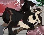 animal_genitalia animal_penis anthro anthro_on_feral anthro_penetrated anus balls bestiality bestiality_impregnation black_anus black_body black_fur black_nose bodily_fluids breasts brown_body brown_fur brown_nose canine_genitalia canine_penis cervical_penetration cum cum_in_uterus cum_in_vagina cum_inside cutaway duo erection eyes_closed eyewear fangs female female_penetrated feral feral_penetrating feral_penetrating_anthro from_front_position fur furniture genital_fluids genitals glasses green_eyes grey_balls grey_body grey_fur impregnation inside internal internal_vaginal knot knotting lying male male/female male_penetrating male_penetrating_female missionary_position multiple_ova nude on_back on_sofa open_mouth ovum penetration penile penile_penetration penis penis_in_vagina plant red_penis sex sofa striped_arms striped_legs teeth tongue tongue_out uterus vaginal vaginal_penetration white_body white_fur window killthe_demon echo_(wolffylegend) meera_(thylus) canid canine dasyuromorph mammal marsupial recently_extinct_species species_request thylacine hi_res