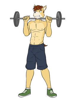 alternate_species anthro barbell bottomwear clothed clothing exercise footwear furrification male navel nipples shoes shorts simple_background socks solo topless weightlifting white_background workout fuze stardew_valley alex_(stardew_valley) canid canine mammal 3:4 full-length_portrait hi_res portrait
