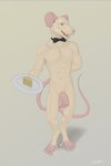 anthro balls bow_tie cheese dairy_products flaccid food foreskin genitals humanoid_genitalia humanoid_penis male nude penis solo unretracted_foreskin joerat joe_(joerat) mammal murid murine rat rodent 2:3 absurd_res hi_res