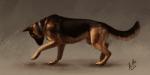 2016 2:1 ambiguous_gender anchee canid canine canis digital_media_(artwork) digital_painting_(artwork) domestic_dog feral german_shepherd herding_dog looking_down mammal painting_(artwork) pastoral_dog raised_leg side_view simple_background solo