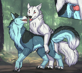 anatomically_correct animal_genitalia animal_vulva canine_genitalia canine_vulva cutaway doggystyle duo female feral feral_on_feral from_behind_position genitals knot knotting male male/female mount penetration penis sex vulva dirty.paws fridaflame canid canine canis dire_wolf domestic_dog mammal prehistoric_species wolf hi_res