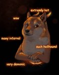 ambiguous_gender feral fur horn humor looking_at_viewer solo text whiskers nightgrowler dogelore mythology doge canid canid_demon canine canis demon domestic_dog hellhound mammal mythological_canine mythological_creature shiba_inu spitz english_text hi_res meme