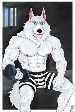 4_fingers abs anthro areola balls_outline big_muscles biped black_nose blue_eyes blurred_background bodily_fluids bottomwear bulge clothed clothing detailed_bulge dumbbell eyebrows fingers fluffy fluffy_tail fur genital_outline huge_muscles male male_anthro mane multicolored_bottomwear multicolored_clothing multicolored_shorts muscular muscular_anthro muscular_male nipples pattern_bottomwear pattern_clothing pattern_shorts pecs pink_nipples prison_cell prison_uniform prisoner shorts solo striped_bottomwear striped_clothing striped_shorts stripes sweat tail topless topless_anthro topless_male vein veiny_muscles weights white_body white_fur gdrzhuowolf illumination_entertainment sing_(movie) jimmy_crystal arctic_wolf canid canine canis mammal wolf 2:3 absurd_res hi_res