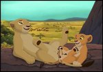 animal_genitalia balls bodily_fluids cum erection female feral feral_on_feral fur genital_fluids genitals group harem interspecies larger_young male male/female penis pussy sex size_difference tribadism trio vaginal young young_feral kaion disney the_lion_king kiara_(the_lion_king) nala_(the_lion_king) timon felid herpestid lion mammal meerkat pantherine 2d_animation animated digital_media_(artwork) motion_tweening short_playtime story story_in_description