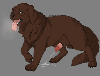 animal_genitalia animal_penis balls bodily_fluids breath brown_body brown_fur canine_genitalia canine_penis cum cum_on_penis cumshot ejaculation erection feral fur genital_fluids genitals knot knot_in_sheath knotted_penis male panting penis sheath solo beastlygemstone bird_dog canid canine canis domestic_dog hunting_dog labrador mammal retriever hi_res