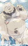 anthro balls bathing belly big_belly flaccid genitals humanoid_hands kemono male moobs navel nipples overweight overweight_male penis pubes scar solo towel dain_4201 bear mammal 2024 hi_res