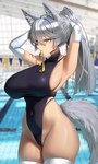 big_breasts breasts clothing female grey_hair hair legwear one-piece_swimsuit solo swimming_pool swimwear thigh_highs anima_(artist) animal_humanoid canid canid_humanoid canine canine_humanoid humanoid mammal mammal_humanoid wolf_humanoid hi_res