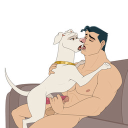 animal_genitalia animal_penis balls bestiality canine_genitalia canine_penis collar duo erection feral frottage genitals handjob handjob_frottage human_on_feral humanoid_genitalia humanoid_penis interspecies kissing knot male male/male male_on_feral nude penile penis penises_touching sex sitting tongue enookie dc_league_of_super-pets krypto superman bird_dog canid canine canis domestic_dog human hunting_dog labrador mammal retriever 1:1 hi_res