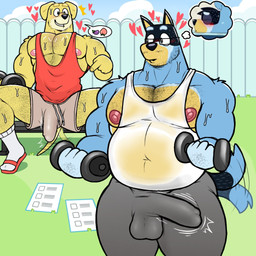 anthro balls_outline barazoku big_muscles big_pecs black_nose blue_body blue_fur bodily_fluids body_hair bottomwear bulge chest_hair clothed clothed_anthro clothed_male clothing detailed_bulge duo erection erection_under_clothing exercise eyebrows eyewear facial_hair fantasizing flip_flops footwear fully_clothed fully_clothed_anthro fully_clothed_male fur genital_outline genitals gesture glasses grey_bottomwear grey_clothing grey_pants hairy_legs hand_gesture heart_symbol holding_weights inviting_to_sex male mature_anthro mature_male motion_lines muscular navel nipples outside pants pecs penis penis_outline pointing pointing_at_penis red_clothing red_footwear red_shirt red_tank_top red_topwear sandals shirt shoes shorts smile socks socks_with_sandals sweat tail tail_motion tailwag tank_top thought_bubble topwear wearing_glasses weightlifting weights white_clothing white_footwear white_shirt white_socks white_tank_top white_topwear workout yellow_body yellow_fur cheno_qa bluey_(series) bandit_heeler pat_(bluey) australian_cattle_dog bird_dog canid canine canis cattledog domestic_dog golden_retriever herding_dog hunting_dog mammal pastoral_dog retriever 1:1 2025 digital_drawing_(artwork) digital_media_(artwork) hi_res