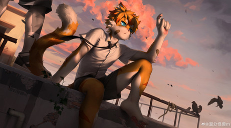 anthro blue_eyes bottomwear clothing duo footwear fur grey_body grey_fur holding_object holding_ring male necktie orange_body orange_fur shirt shorts sitting sky socks striped_body striped_fur stripes topwear white_body white_fur guaishoudm1 nike weibo domestic_cat felid feline felis mammal absurd_res hi_res