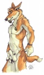 animal_genitalia anthro balls blotch canid canine canis diego_(blotch) dingo fondling genitals hei-matau hi_res jewelry looking_at_viewer male mammal necklace penis penis_tip pinup pose sheath solo tail the_dog's_days_of_summer