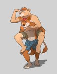 anthro athletic athletic_anthro athletic_male bulge carrying_another claws clothed clothing countershading duo facial_hair fur goatee highlights_(coloring) leg_markings male male_anthro markings navel one_eye_closed open_mouth orange_body orange_fur pawpads paws piggyback pointy_ears prick_ears round_ears shadow snout socks_(marking) swimming_trunks swimwear tail tail_tuft toe_claws topless topless_anthro topless_male tuft paintfox daniel_(paintfox) darrel_(paintfox) canid canine canis dingo felid lion mammal pantherine 2025 absurd_res hi_res