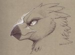 beak eye_markings feathered_crest feathers head_crest markings neutral_expression profile solo kero_tzuki mythology saewin avian gryphon mythological_avian mythological_creature bust_portrait hi_res monochrome portrait