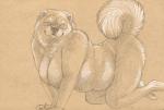 anthro areola breasts eyewear female glasses hanging_breasts nipples nude overweight slightly_chubby solo cadmiumtea canid canine canis domestic_dog mammal traditional_media_(artwork)