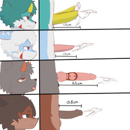 2_penises anthro big_penis bodily_fluids chart comparing cum cumshot ejaculation genital_fluids genitals group humanoid_genitalia humanoid_penis kemono knot male multi_genitalia multi_penis penis penis_chart penis_size_difference small_penis zachyyy penis_lineup 1:1 absurd_res hi_res