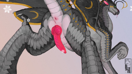 animal_genitalia antennae_(anatomy) anus black_wings butt erection feral genital_slit genitals grey_body long_neck male male_feral markings moon_(marking) penis pink_anus pink_penis presenting presenting_hindquarters presenting_penis scales snowflake snowflake_background solo tail wings diorionarh mythology wings_of_fire haze_(hazesilkie) arthropod butterfly dragon insect lepidopteran mythological_creature mythological_scalie nightwing_(wof) scalie silkwing_(wof) 16:9 absurd_res hi_res widescreen