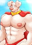 abs anthro areola barazoku big_muscles big_nipples big_pecs biped cape clothing collar eyes_closed floppy_ears genitals huge_pecs male muscular muscular_anthro muscular_male nipples pecs penis penis_base pose red_clothing red_underwear sky solo underwear white_body beart dc_comics krypto_the_superdog krypto canid canine canis domestic_dog mammal 2022 absurd_res half-length_portrait hi_res pinup portrait