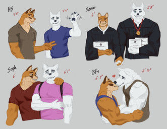 anthro arm_around_neck arm_around_partner arm_around_waist blue_eyes bottomless clothed clothing diploma duo fur gesture graduation_gown graduation_robe height kiss_on_lips kissing looking_at_viewer male male/male medal muscular muscular_anthro muscular_male one_eye_closed pairing shirt shirt_only shy size_difference sleeveless_shirt t-shirt t-shirt_only tall tan_body tan_fur time_lapse time_period topwear topwear_only waving waving_at_viewer waving_hand white_body white_fur wink winking_at_viewer shenanart doug_(shenanart) steph_(shenanart) canid canine canis domestic_dog mammal nordic_sled_dog spitz half-length_portrait hi_res portrait