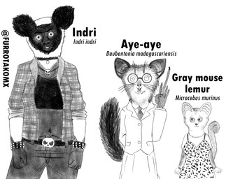anthro asian_clothing belt belt_buckle big_ears bottomwear buckle buckteeth choker claws clothing collar crop_top dress east_asian_clothing eyewear female finger_claws fluffy fluffy_tail glasses group japanese_clothing japanese_school_uniform jewelry long_skirt neck_tuft necklace necktie nerd pants school_uniform shaggy_fur shaggy_hair shirt skirt skull_accessory spiral spiral_eyes tail teeth topwear trio tuft uniform whiskers wristband efradraws aye-aye gray_mouse_lemur indri lemur mammal primate strepsirrhine absurd_res graphite_(artwork) hi_res monochrome sketch traditional_media_(artwork)