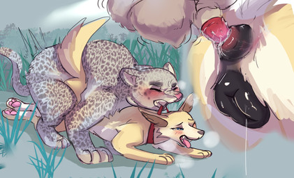 anal anal_penetration anal_rape animal_genitalia animal_penis animal_vulva anus anus_focus asphyxiation balls big_dom_small_sub blush bodily_fluids butt butt_focus canine_genitalia canine_vulva choking clenched_teeth close-up collar collar_pull cum cum_drip cum_in_ass cum_inside dominant dripping dripping_vulva duo erection eyes_closed feline_genitalia feline_penis female female_feral female_penetrated feral feral_on_feral feral_penetrated feral_penetrating feral_penetrating_feral forced from_behind_position genital_fluids genital_focus genitals interspecies larger_feral larger_male looking_pleasured male male/female male_feral male_penetrating male_penetrating_female mounting open_mouth overwhelmed pain penetration penile penile_penetration penile_spines penis plump_labia questionable_consent rape rough_sex sex size_difference smaller_female smaller_feral smaller_penetrated tears teeth vaginal_fluids vulva vulva_focus squaresville naatalya_(lykaan) canid canine canis domestic_dog felid husky mammal nordic_sled_dog pantherine snow_leopard spitz absurd_res hi_res