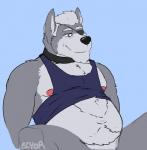 2017 anthro areola bedroom_eyes belly biped black_nose blue_background body_hair bottomless canid canine canis clothed clothing clothing_lift eye_patch eyewear featureless_crotch fur grey_body grey_fur grey_hair hair half-closed_eyes happy_trail hi_res looking_down male mammal mature_anthro mature_male mostly_nude narrowed_eyes navel nintendo nipples nude overweight overweight_anthro overweight_male purple_eyes rine seductive shirt shirt_lift simple_background sitting smile solo spread_legs spreading star_fox tank_top teeth topwear wolf wolf_o'donnell wrinkles