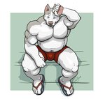 anthro belly blue_eyes bulge clothing fur grey_body grey_fur male musclegut muscular overweight overweight_anthro overweight_male sitting solo underwear white_body white_fur chestnuts_(artist) canid canine canis domestic_dog husky mammal nordic_sled_dog spitz 2019