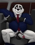 anthro bodily_fluids bottomless car clothed clothing electronics erection foreskin genitals inside_car inside_vehicle male medium_truck microphone penis solo suit sweat truck van vehicle lewd_latte disney zootopia bear giant_panda mammal hi_res