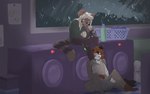 anthro bored duo electronics female laundromat laundry male male/female phone raining romantic romantic_couple honeydew_stars finian_wren thora_wren australian_possum cheetah felid feline mammal marsupial petaurid sugar_glider 16:10 hi_res widescreen