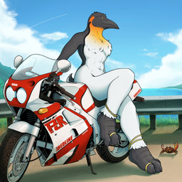 abs anthro barefoot beak chest_tuft claws clothing detailed_background digit_ring feet female grass jewelry looking_aside motorcycle nude outside plant ring sea sitting sky smile solo text toe_ring toes topwear tuft vehicle water corrsk yamaha_motor_corporation olivia_(corrsk) arthropod avian bird crab crustacean decapod emperor_penguin malacostracan penguin 1:1 english_description english_text hi_res