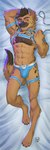 abs anthro bed brown_body brown_eyes brown_fur bulge collar dakimakura ear_piercing ear_stud fur furniture harness leash legband looking_at_viewer lying male muscular nipples on_back on_bed piercing slim solo thighband lion21 mikah_(mikah_the_yeen) hyena mammal dakimakura_design hi_res