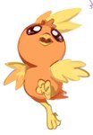 ambiguous_gender anterior_nasal_aperture beak biped brown_eyes feathered_wings feathers feet feral open_mouth orange_body simple_background solo talons toes white_background wings flavia-elric nintendo pokemon generation_3_pokemon pokemon_(species) torchic 2019 digital_media_(artwork) hi_res