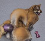 ambiguous_gender anal anal_penetration anthro anus backsack balls blue_eyes bone breath butt curled_tail dildo duo first_person_view from_behind_position fur genitals looking_at_viewer looking_back male male/ambiguous nude object_in_ass open_mouth panting penetration raised_tail sex sex_toy sex_toy_in_ass sex_toy_insertion slightly_chubby smile solo_focus spots tail tongue tongue_out toying_partner transparent_dildo transparent_sex_toy anakuro canid canine canis domestic_dog husky mammal nordic_sled_dog spitz digital_media_(artwork) hi_res