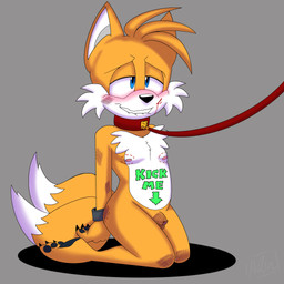 anthro cock_and_ball_torture collar genital_torture humiliation humiliation_fetish leash leashed_collar love_bite male masochism sex_slave slave solo young young_male anonymous_artist sega sonic_the_hedgehog_(series) miles_prower canid canine fox mammal 1:1 hi_res