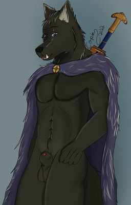 animal_genitalia anthro balls biped black_body black_fur black_nose cape clothing front_view fur genitals looking_at_viewer male melee_weapon open_mouth penis penis_tip purple_eyes sheath solo standing sword weapon copinlighter elden_ring fromsoftware blaidd_(elden_ring) canid canine canis mammal wolf hi_res