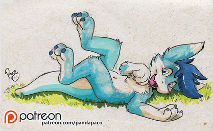 anthro blue_body blue_claws blue_eyes blue_fur blue_hair blue_tail blush claws finger_claws fur glistening glistening_eyes grass hair logo looking_at_viewer lying male male_anthro navel nude on_back open_mouth open_smile patreon_logo plant side_view simple_background smile solo tail white_background white_body white_fur white_tail young young_anthro young_male pandapaco mythology patreon dragon furred_dragon furred_scalie mythological_creature mythological_scalie scalie artist_logo signature